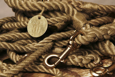 Found_rope_leash wp_IMG