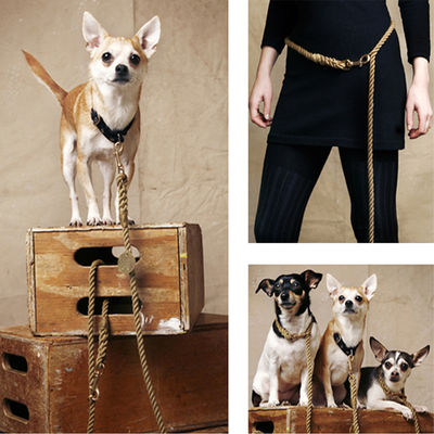 Found_rope_leash_2 wp_IMG