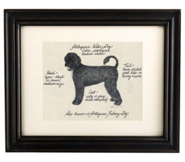 Portuguese_water_dog_print_2