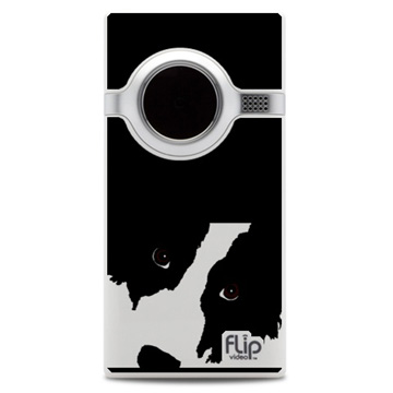 Flip_mino_border_collie