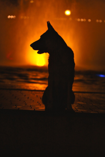 Boras_fountain Boras_fountain