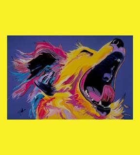 Boomerang_2 Boomerang_2