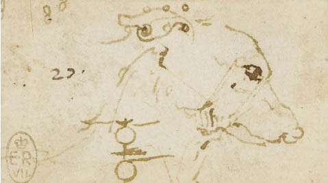 Head_of_dog_leonardo_da_vinci