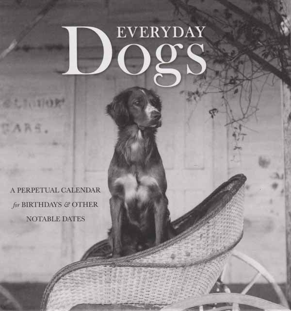 Everyday-dogs-perpetual-calendar-cover wp_IMG Everyday-dogs-perpetual-calendar-cover