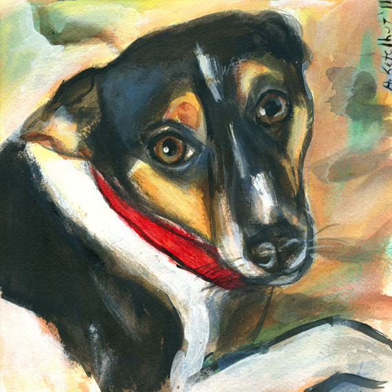 Rat-terrier-christmas-card