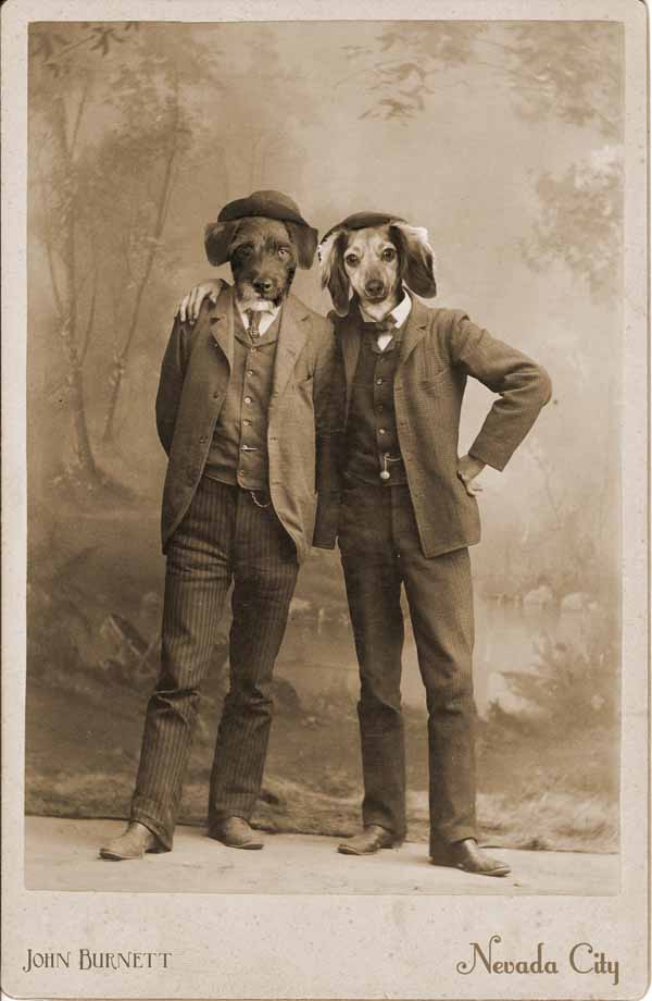 Vintage-dog-christmas-card