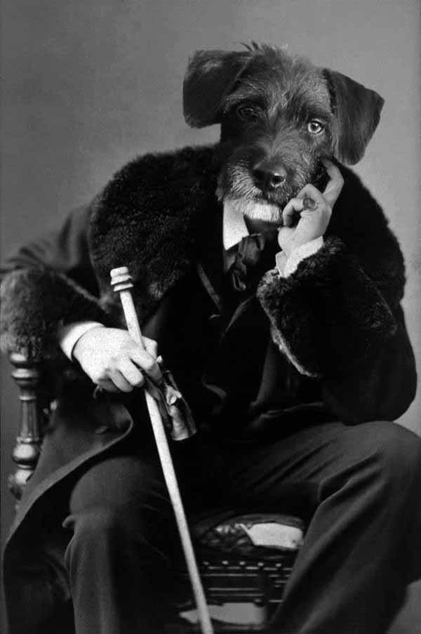 Tyler-foote-vintage-photograph