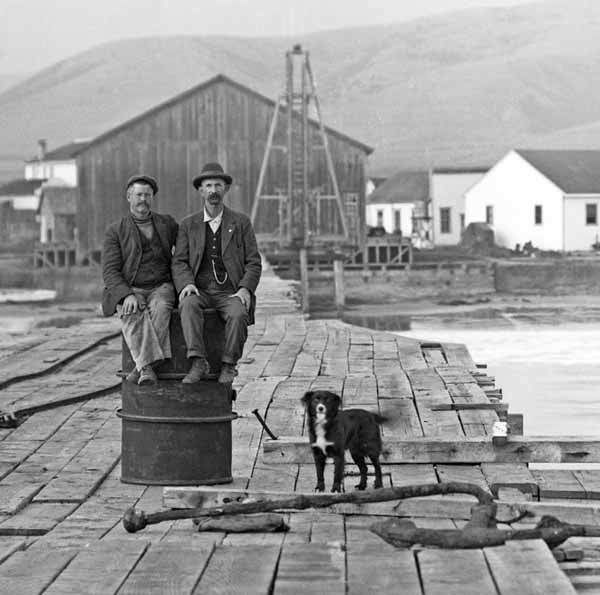 Everyday-dogs-calendar-dock-workers-by-patroni-house wp_IMG Everyday-dogs-calendar-dock-workers-by-patroni-house