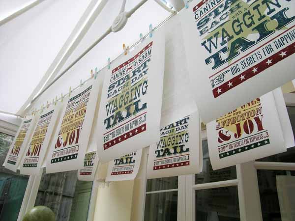 Canine-wisdom-prints