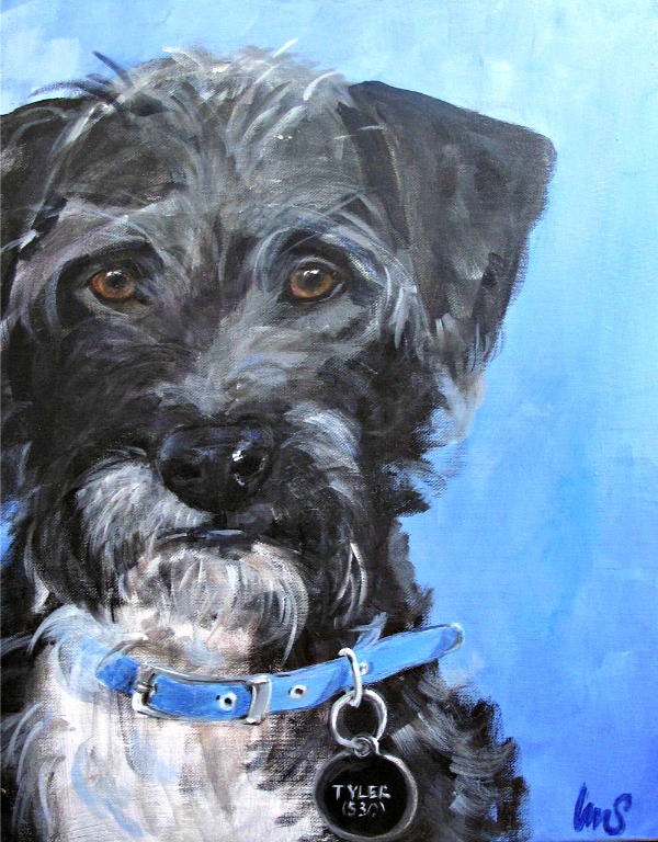 Tyler-foote-nevada-city-dog Tyler-foote-nevada-city-dog