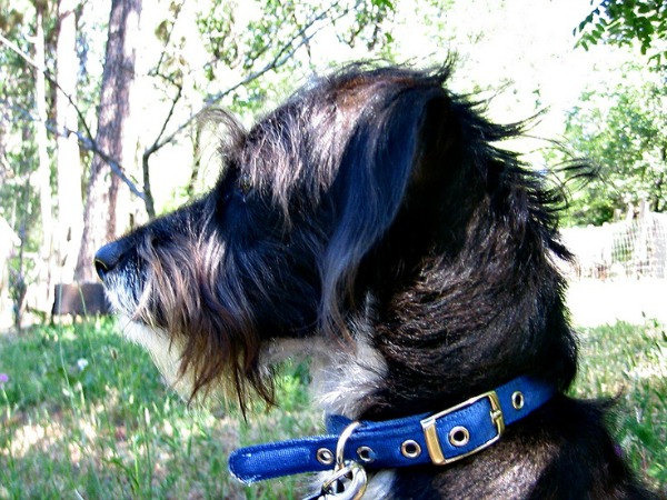 Tyler-Foote-profile-by-Moira-McLaughlin