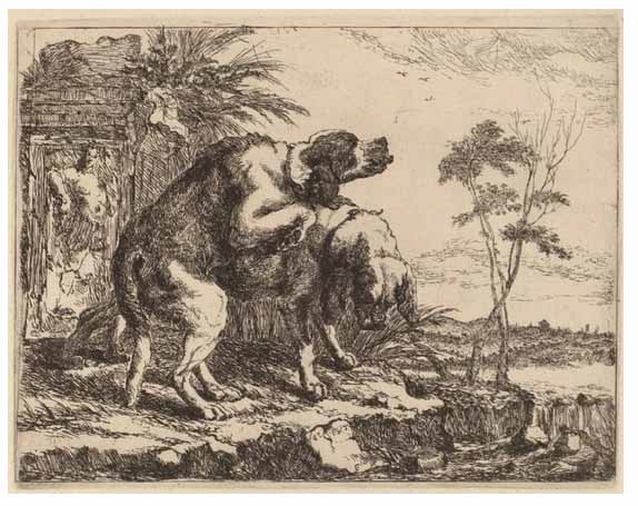 Two-Dogs-Copulating-Jan-Fyt-1640-1642