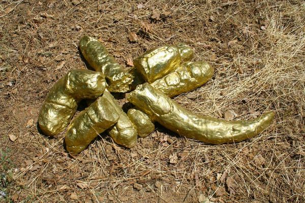 Nevada-city-alchemy-golden-dog-poop-daniel-brickman-2013