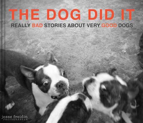 The-dog-did-it-blurb-photography-e-book-jesse-freidin