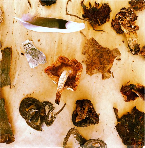 DANK-Inaugural-Tyler-Foote-Finds-by-Moira-Mclaughlin-1200