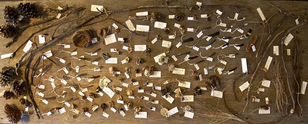 DANK-Tyler-Foote-Finds-Jim-Pyle-2-1200