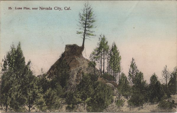 DANK-Nevada-City-Lone-Pine-vintage-postcard-1908