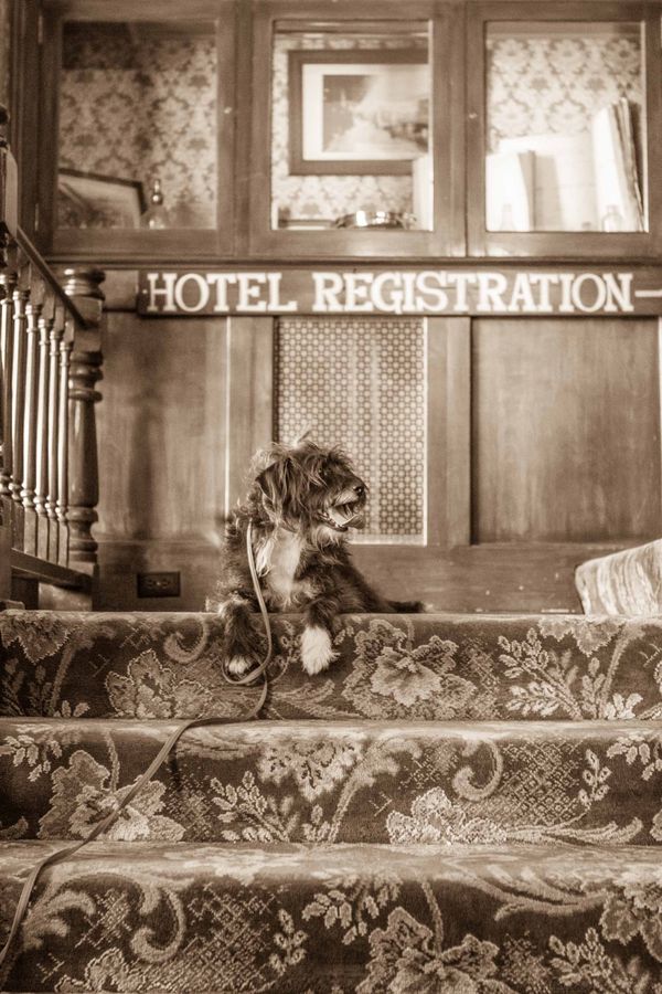 Tyler-foote-the-national-hotel-nevada-city-by-mara-casey-9-16-14-low-res