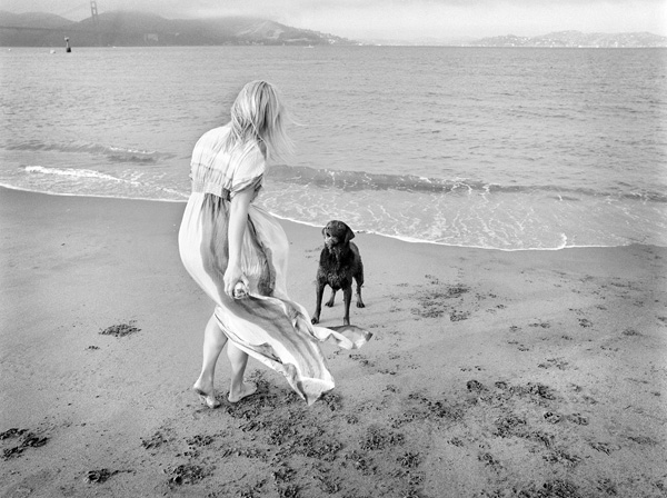 Bella-at-Chrissy-field-fine-art-pet-photography-Jesse-Freidin