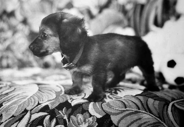 Darby-soccer-ball-3-final-1200