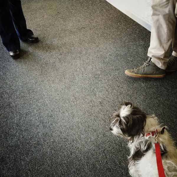 DANK-Molly-Cameron-by-Moira-McLaughlin-600