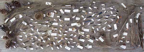 Tyler Foote Finds-framebridge-final-600